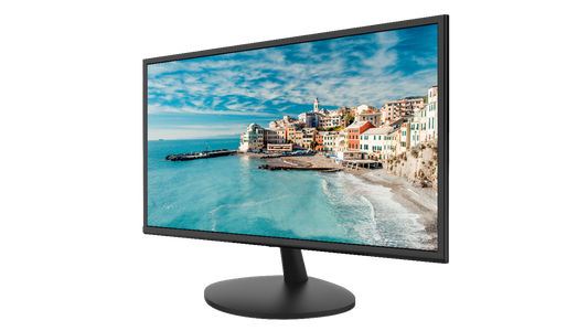 23" LCD VGA Monitor